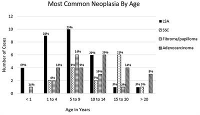 Neoplasia and Proliferative Lesions of New World Camelids: A Systematic Literature Review and Retrospective Study of Cases Submitted to Colorado State University From 1995 to 2020